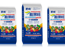 膨果旺 效果圖